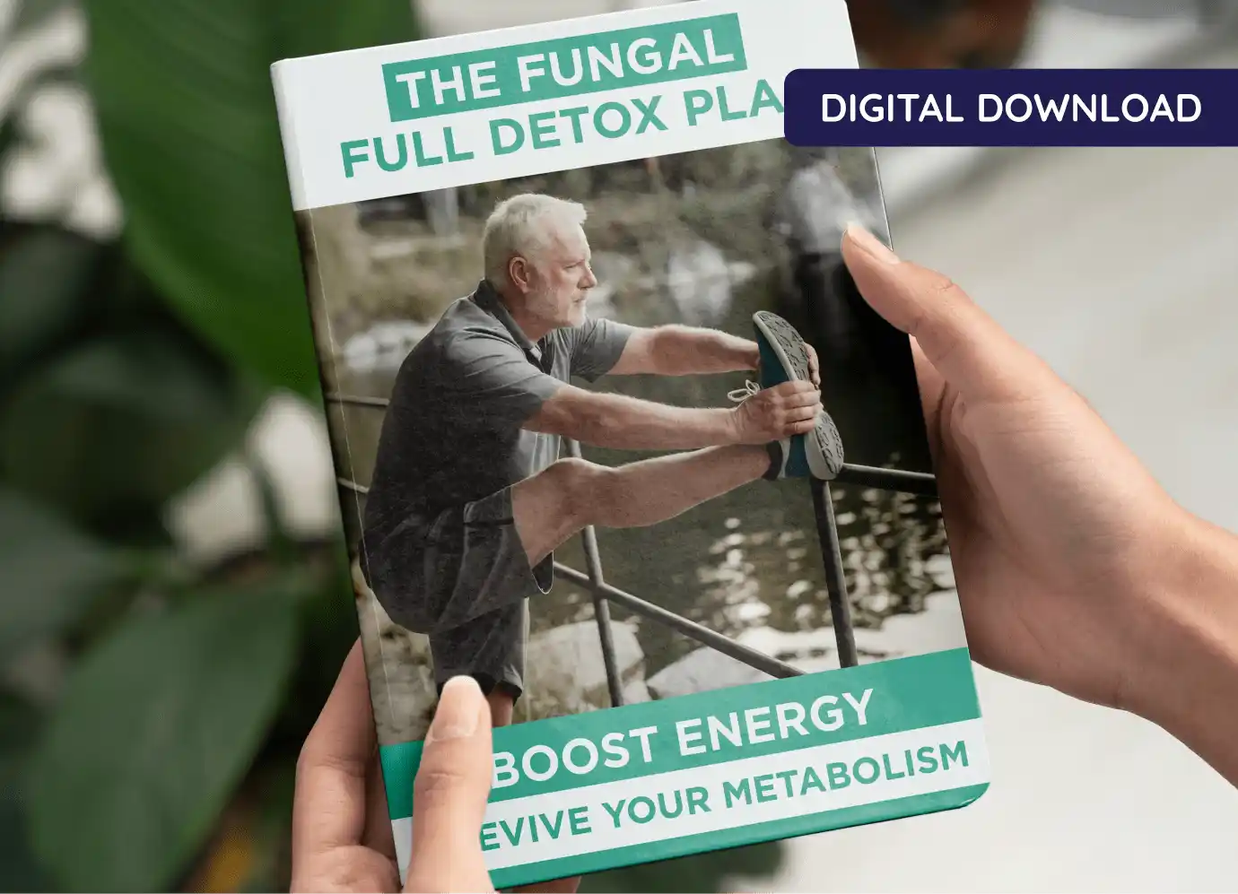 Fungal Full Detox Plan eBook cover